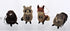 3.5 to 6-Inch Buri Woodland Animal Ornament Set, 4 Assorted Styles...