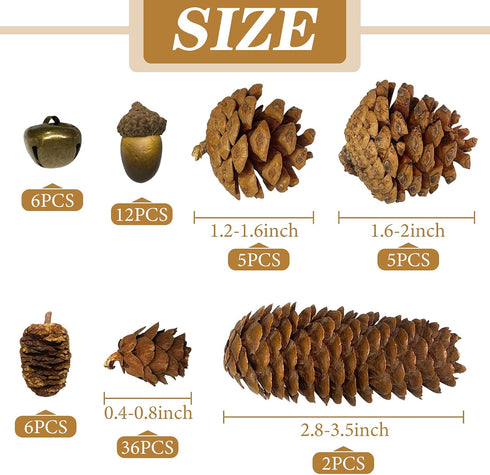 72Pcs Pine Cone Set, Natural Pinecone Acorns Pine Cones Ornaments for Autumn and Winter Crafts Decorating, Christmas Decor, Bowl Vase Fillers...