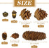 72Pcs Pine Cone Set, Natural Pinecone Acorns Pine Cones Ornaments for Autumn and Winter Crafts Decorating, Christmas Decor, Bowl Vase Fillers...