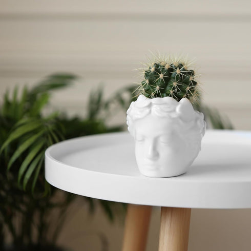 Head Planter Ceramic Face Planter Pots for Plants Succulent Planters Unique Planters for Indoor Plants Great for Succulents Fun Planters Cute Plan...