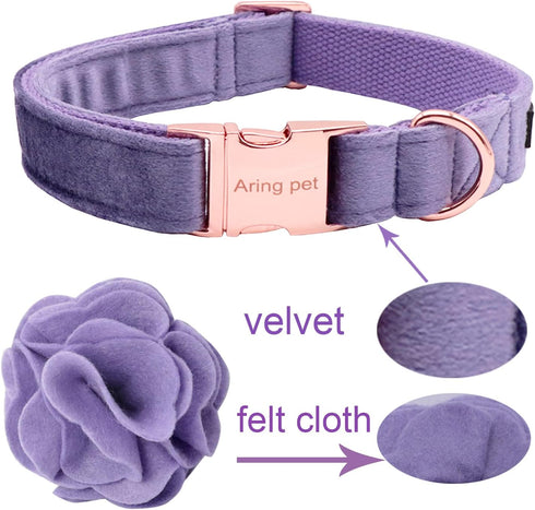 ARING PET Velvet Dog Collar, Purple Dog Collars with Detachable Felt Flower, Adjustable Soft Comfortable Dogs Collar Flower with Metal Buckle for ...