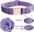 ARING PET Velvet Dog Collar, Purple Dog Collars with Detachable Felt Flower, Adjustable Soft Comfortable Dogs Collar Flower with Metal Buckle for ...