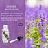 Lavender Multi-Use Oil 30ml, Organic Essential Oil for Skin, Hair, Body and Nails...