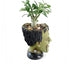 Funny Planter Youfui Head Planter with Drainage Hole Resin Plant Pot Pencil Holder Desk Storage (Frankstein)...