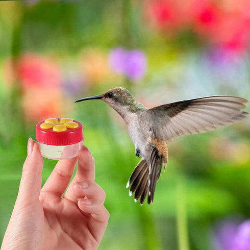 Hand Hummingbird Feeder 4 Pieces Window Flower Hummingbird Feeder Mini Handheld Hummingbird Feeder Humming Bird Feeder Wild Bird Feeders with Clea...