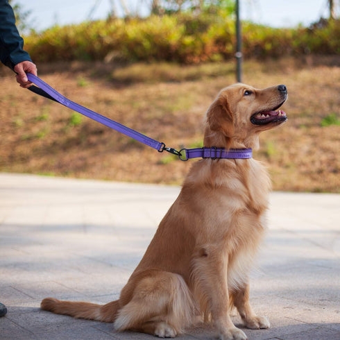Hyhug Pets 24 Inches Short Leash (2021 and Sturdy Jacquard Weave Nylon Lead for Giant Large Medium Dogs Walking, Jogging,Camping and Training. (24...