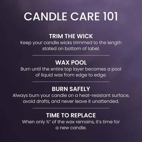 Yankee Candle Large Tumbler Scented Candle with up to 80 Hour Burn Time, Premium Plant Wax Blend for Consistent Burn, 20 oz Tumbler Candle with Ro...