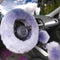 Fashion Fluffy Steering Wheel Covers for Women/Girls/Ladies Australia Pure Wool 15 Inch 1 Set 3 Pcs (Gray)...