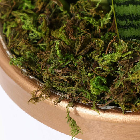 VOSAREA 1 Pack Artificial Moss Fake Lichen Simulation Green Faux Pot Moss for DIY Miniature House (About 60g)...