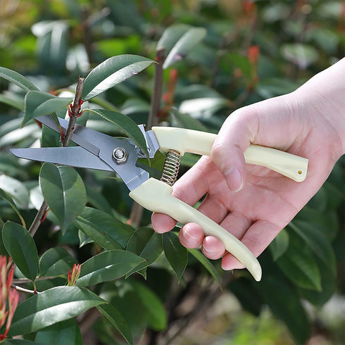 BUGUI Lightweight Garden Scissors - 7.5" Straight Blade Gardening Tool, Sharp Flower Shears for Cutting Flowers, Trimming Plants, Bonsai, Fruits P...
