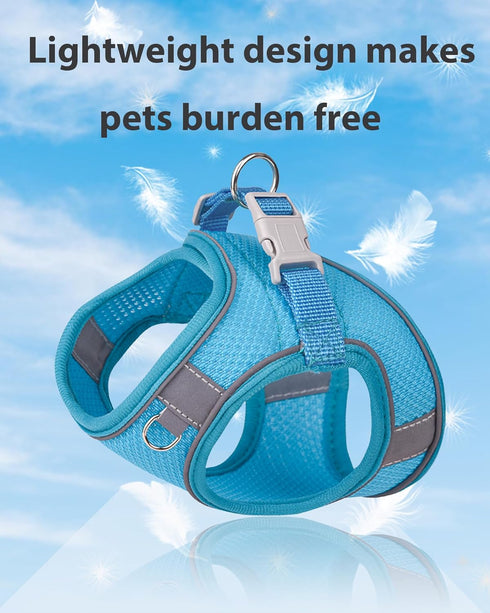 Dog Harness for Small Medium Sized Dog, Puppy Harness and Leash Set Training, Dog Harness and Leash Set, Dog Vest Harness, Dog Harness Small Sized...