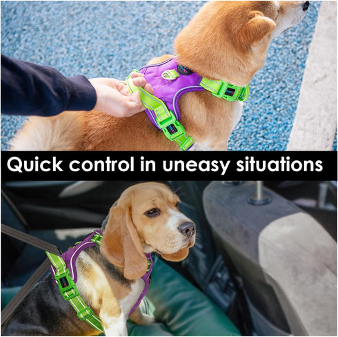 PHOEPET No Pull Dog Harness, Unique Colors Reflective Adjustable Dog Vest, with Soft Training Handle Metal Clips for Small Medium Large Dogs (Purp...