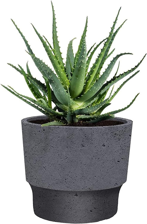 The HC Companies 5 Inch Sprite Round Planter - Small Plastic Plant Pot with Drainage for Indoor Outdoor Plants, Faux Concrete...
