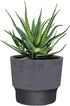 The HC Companies 7 Inch Sprite Round Planter - Small Plastic Plant Pot with Drainage for Indoor Outdoor Plants, Faux Concrete...
