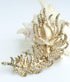 Zeepoffine 4.33" Rhinestone Crystal Peacock Feather Brooch Pin Pendant BZ5038 (Gold-Tone Red)...