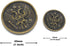 Bezelry Two-Headed Eagle Metal Shank Double Blazer Button Set. 6 Pcs of 25mm, 8 Pcs of 18mm (Antique Brass)...