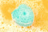 Luxurious Dog Bath Brush Scrubber - Soft Silicone Dog Shampoo Brush Combo for Pet Grooming, Bathing, & Massage Dispensing - Extreme Lather Dog Sho...