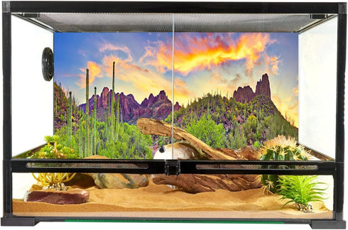 YongFoto Polyester Desert View Cactus Photo Backdrop Green Bush Rocky Purple Rock Wild West Natural Landscape Photography Background 72x18 inches ...