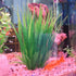 Artificial Fish Tank Plants, Plastic Aquarium Plants, 2 Pack, 9 inches High, Realistic & Non-Toxic & Safe for All Fishes (9 inches, Green)...