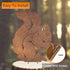 Rusty Squirrel Garden Ornament, Rusty Squirrel Silhouette to Screw in Wood, Metal Garden Decoration, Metal Garden Decor, Fence Topper, Gift Idea f...