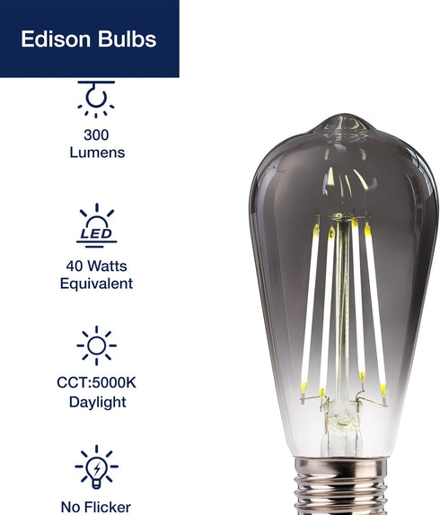 FLSNT LED Edison Bulbs, 5000K White Light Dimmable ST19 LED Light Bulbs, E26 Base,4W(40W Equivalent), CRI82+, 150LM, 6 Pack, Smoky Grey Glass...