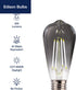 FLSNT LED Edison Bulbs, 5000K White Light Dimmable ST19 LED Light Bulbs, E26 Base,4W(40W Equivalent), CRI82+, 150LM, 6 Pack, Smoky Grey Glass...