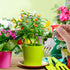 Artibetter 5pcs Mini Zen Garden rakes Dollhouse Grass rake Miniature Garden Tool Tool Set Miniature...
