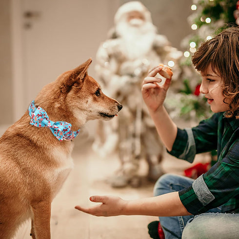 Christmas Dog Collars for Small Dog with Bow Tie,Blue Dog Collar with Safety Metal Buckle Adjustable Puppy Collars for Medium Large Dog,Boy&Girl&m...