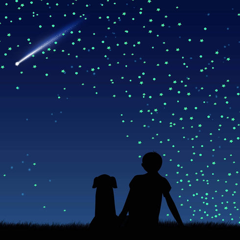 808 PCS Glow in The Dark Stars for Ceiling, Glowing Wall Decals Decor Stickers,(404 Pcs Green and 404 Sky Blue) 3D Adhesive Dots Decor Starry Sky ...