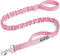 OutdoorMaster Bungee Dog Leash, Heavy Duty Dog Leash with Shock Absorption, 2 Padded Handles Training Leash, Improved Dog Safety and Comfort (Pink...