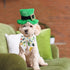 St.Patrick's Day Dog Collar with Bow Tie, Irish Shamrock Clover Collar for Boys and Girls Small Medium Large Pets Puppies (Medium)...