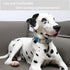 ARING PET Dog Collar-Adjustable Cotton Small Dog Collars, Lightweight Comfortable Blue Pet Collars with Quick Release Buckle for Small Medium Larg...