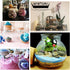 1PCS 500G/17oz Cear Empty Round Large Capacity Sealed Glass Bottles Vial Jars Packing Storage Hoder Containers with Wood Cork Stopper for Make up ...