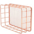 Iron Storage Basket Makeup Small Things Organizer Storage Holder Desktop Decor Iron Box Rose Gold 4 Size(C)...