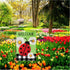 Ladybug Spring Summer Garden Flag 12x18 Inch Double Sided Ladybug Daisy Welcome Yard Flag Buffalo Plaid Check Burlap Banner Seasonal Farmhouse Dec...