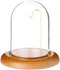 Plymor 3" x 4" Watch Glass Display Dome Cloche...