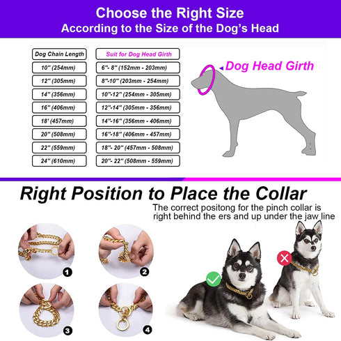 18K Gold Chain Dog Collar 10MM Cuban Link Chain Stainless Steel Metal Links Walking Training Collar for Small Medium Large Dogs 10in to 30in...