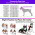 18K Gold Chain Dog Collar 10MM Cuban Link Chain Stainless Steel Metal Links Walking Training Collar for Small Medium Large Dogs 10in to 30in...