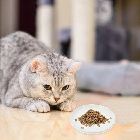 Ceramic Cat Bowls, Shallow Dog Bowls Whisker Stress Cat Dishes, Relieves Fatigue for Food Shallow Kitten Bowl Pet Bowl Dog Feeder Pet Food Dish St...