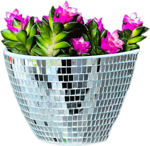 Silver Disco Wall Planters,Disco Wall Vase,Disco Plant Hanger,Disco Wall Flower Pot,Plastic Modern Hydroponic Hanging Wall Planters Vertical Syste...