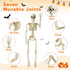 1 Pack Halloween Skeleton Decorations, 15.7" Halloween Full Body Mini Skeleton with Movable Posable Bones,Spooky Skeleton for Halloween Party Deco...