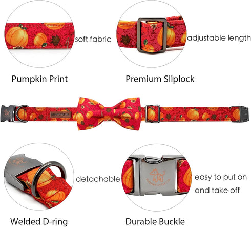 Elegant little tail Dog Collar with Bow - Fall Dog Collar Halloween Pumpkin Bow Girl Boy Pet Collar Soft Dog Bowtie Collars for X-Large Dogs...