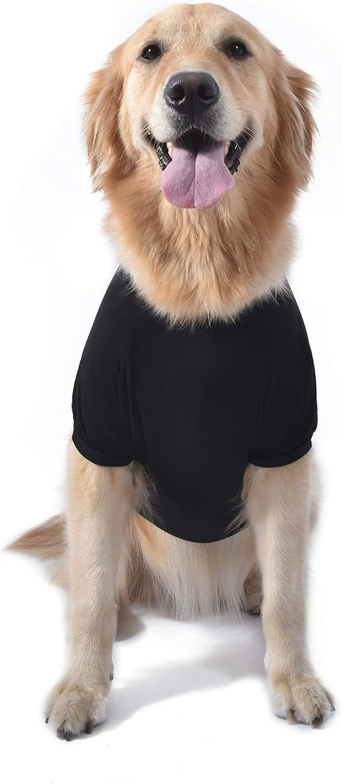 Star Wars for Pets Mentally I'm in A Galaxy Far, Far, Away Dog Tee | Black Star Wars Dog T-Shirt | Soft Dog Shirt, Large | Adorable Dog Clothing a...