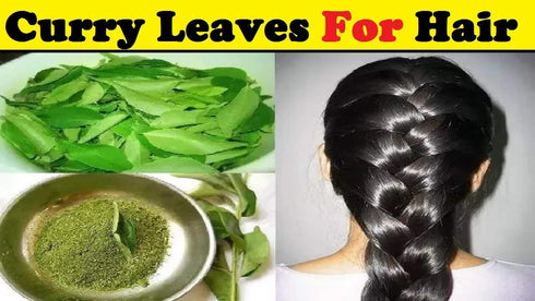 MB Herbals Curry Leaf Powder 227 Gram | 8 oz | Curry Leaves Powder | Promotes Hair Growth | Hair Volume | Thicker Hair...