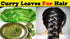 MB Herbals Curry Leaf Powder 227 Gram | 8 oz | Curry Leaves Powder | Promotes Hair Growth | Hair Volume | Thicker Hair...