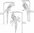 Aleks Melnyk No.472 Metal Stencil, Bird on Tree Branch, Parrots, Wild Animal, Small Stencil, 1 PC, Template for Wood Burning, Engraving, Crafting,...