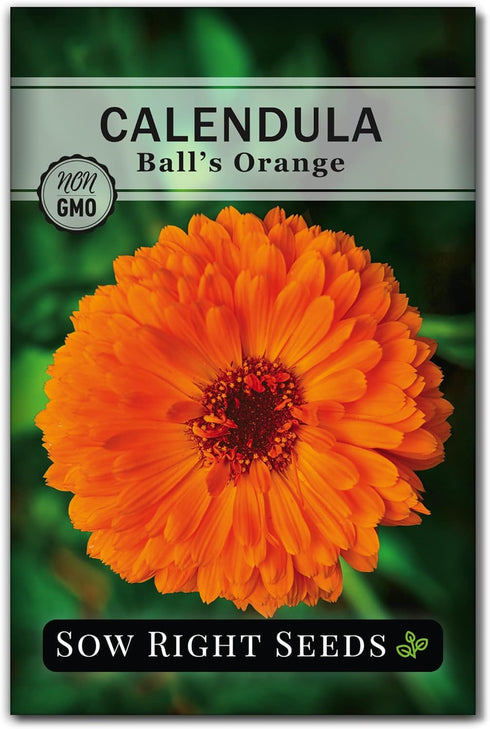 Sow Right Seeds - Large Herbal Tea Garden Seed Collection for Planting - Lemon Balm, Mint, Chamomile, Lavender, Echinacea, Borage, Hyssop, Calendu...