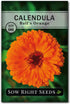 Sow Right Seeds - Large Herbal Tea Garden Seed Collection for Planting - Lemon Balm, Mint, Chamomile, Lavender, Echinacea, Borage, Hyssop, Calendu...