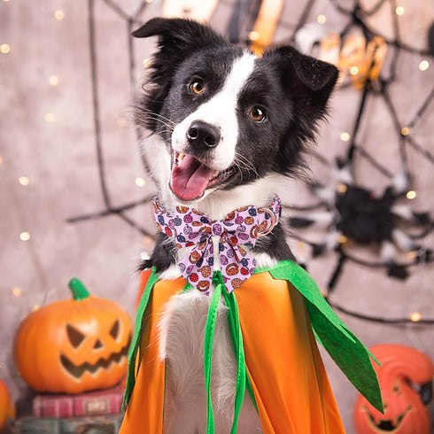 ARING PET Halloween Dog Collar-Cute Pink Pumpkin Dog Collar with Sailor Bowtie, Cotton Halloween Pumpkin Lamp Dog Collars with Metal Buckle...