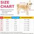 Idepet Pet Dog Hoodies Dog Clothes for Small Dogs Vest Chihuahua Clothes Warm Coat Jacket Autumn Puppy Outfits Cats Dogs Clothing(XS, NavyBlue)...